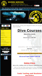 Mobile Screenshot of diversservice.com.au